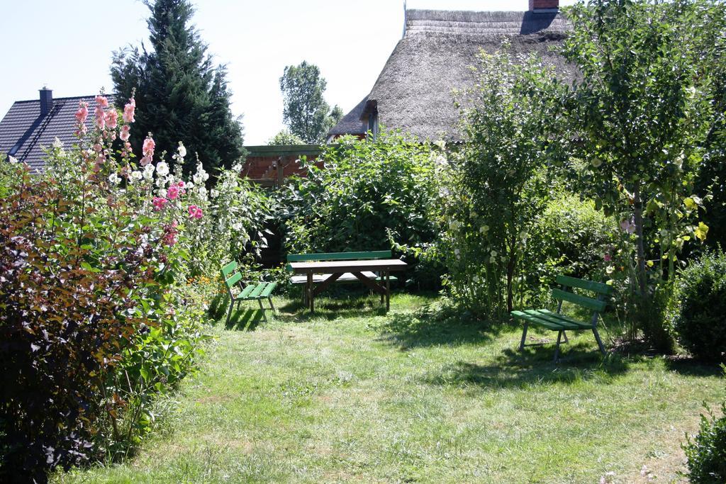 Landhaus Martens Bresewitz Extérieur photo